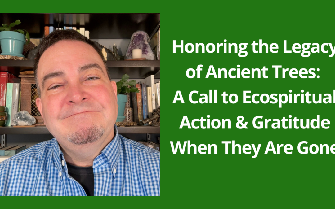 Honoring the Legacy of Ancient Trees: A Call to Ecospiritual Action & Gratitude When They Are Gone