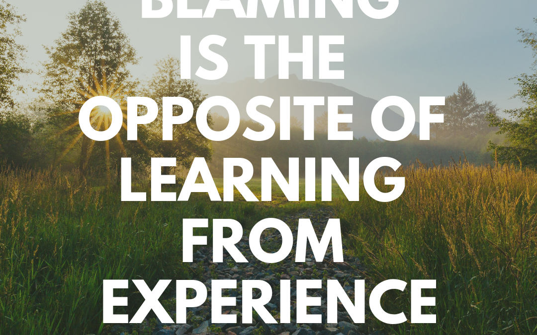 Blaming is the Opposite of Learning from Experience