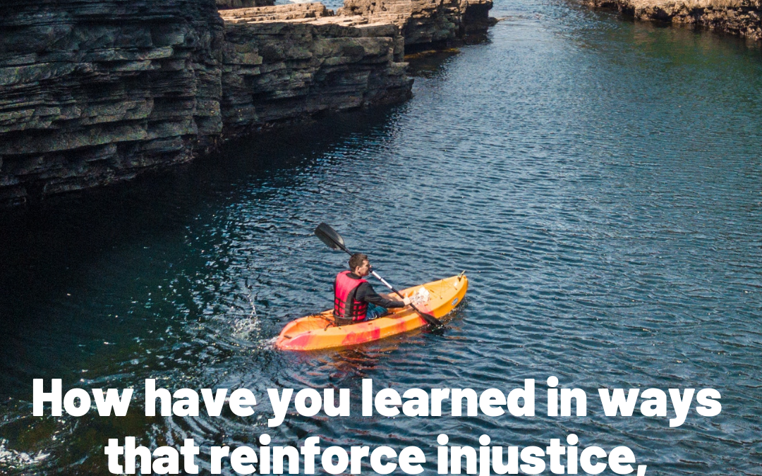 Learning to Reinforce Injustice