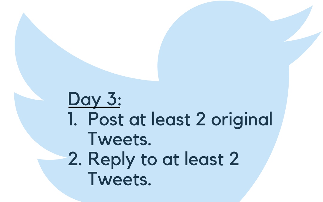 Twitter Challenge: Day 3. Posting!
