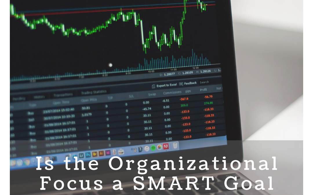 Is the Organizational Focus a SMART Goal Challenge?