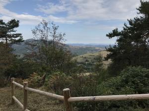 A view along the Camino near ??Pedrafita do Cebreiro?, ?Galicia?, ?Spain?